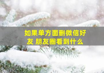 如果单方面删微信好友 朋友圈看到什么